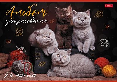 Альбом для рисования "Hatber", 24л, А4, на скобе, серия "Кототерапия"