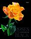 Тетрадь "Hatber", 96л, А5, клетка, 3D лак и фольга, ламинация, на скобе, серия "Roses on Black"