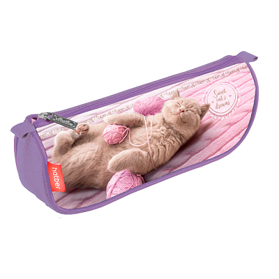 Пенал "Hatber", 200х95х50мм, мягкий, на молнии, серия "Sweet Dreams"