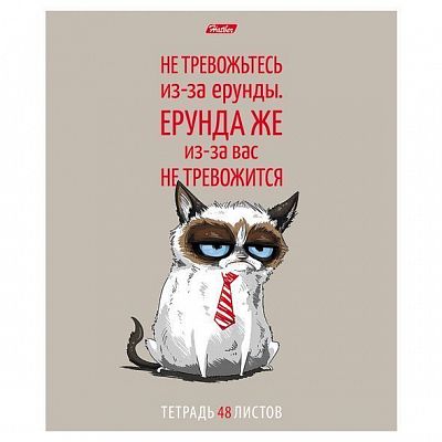 Тетрадь "Hatber", 48л, А5, клетка, скруглённые углы, на скобе, серия "Котоприколы"