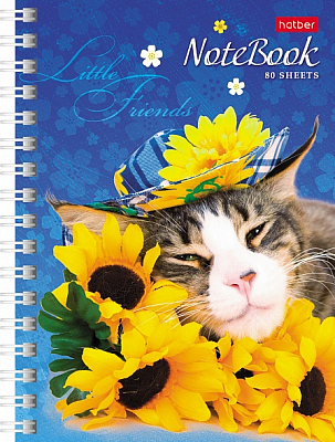 Записная книжка "Hatber", 80л, А6, на гребне, серия "Милые котята"