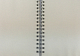 Скетчбук "BG", 100л, А5, без линовки, ламинация, на спирали, серия "Forest Sketch"