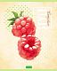 Тетрадь "Hatber Eco", 48л, А5, клетка, на скобе, серия "Fruit Style"