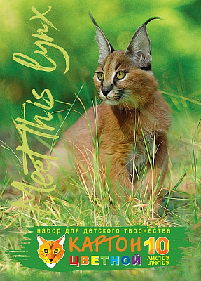 Набор цветного картона "Hatber Eco", 10л, 10цв, А5, 139x193мм, на клею, серия "Взгляд рыси"
