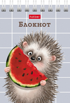 Блокнот "Hatber", 40л, А7, клетка, обложка мелованный картон, на гребне, серия "Хорошо быть ёжиком"