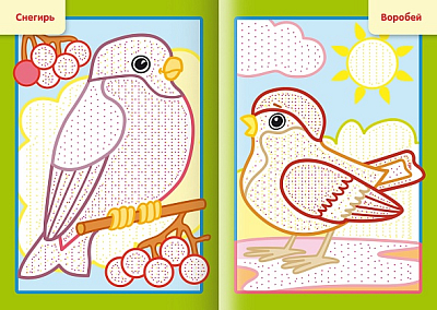 Раскраска "Hatber", 4л, А5, цветной блок, на скобе, серия "Рисуем водой - Птицы"