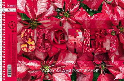 Альбом для рисования "Hatber", 40л, А4, лак, перфорация на отрыв, на спирали, серия "Гармония цвета"