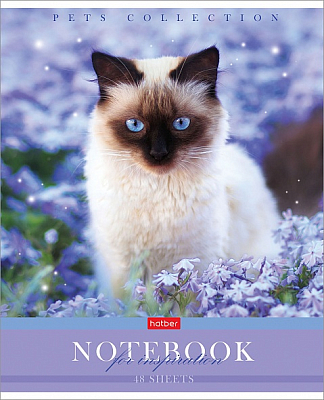 Тетрадь "Hatber", 48л, А5, клетка, на скобе, серия "Усы, лапы, хвост"