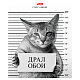 Тетрадь "Hatber", 96л, А5, клетка, на скобе, серия "Кот-обормот"