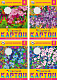 Набор цветного картона "BG", 5л, А4, тонированный, в папке, серия "Цветочный узор"