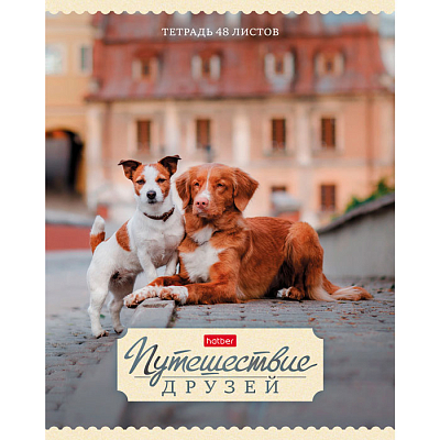 Тетрадь "Hatber", 48л, А5, клетка, на скобе, серия "Путешествие друзей №2"