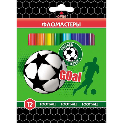 Фломастеры "Hatber VK", 12 цветов, серия "Football", в картонной упаковке