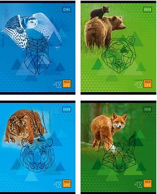 Тетрадь школьная "BG", 48л, А5, клетка, лак, на скобе, серия "Wild Life"
