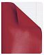 Тетрадь для записи "Hatber", 96л, А5, клетка, полимерная обложка, на скобе, серия "Красная"