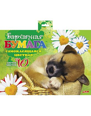 Набор цветной бархатной бумаги "Hatber", 10л, 10цв, А5, самоклеящаяся, в папке, серия "Спящий щенок"