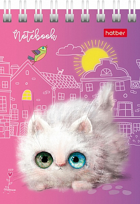 Блокнот "Hatber", 40л, А7, клетка, обложка мелованный картон, на гребне, серия "Кошарики"