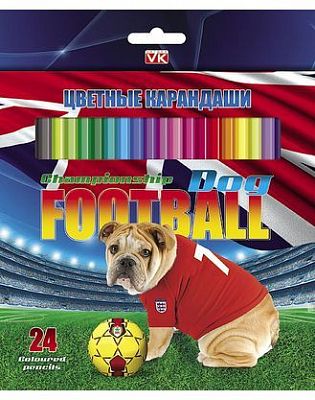 Карандаши "Hatber VK", 24 цвета, серия "Собаки-футболисты", в картонной упаковке