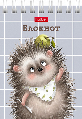 Блокнот "Hatber", 40л, А7, клетка, обложка мелованный картон, на гребне, серия "Хорошо быть ёжиком"