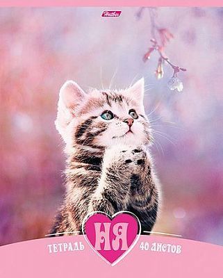 Тетрадь "Hatber", 40л, А5, клетка, на скобе, серия "Котята НЯ"