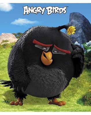 Тетрадь "Hatber", 48л, А5, клетка, лак, на скобе, серия "Angry Birds Movie №1"
