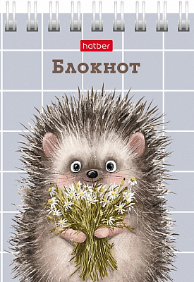 Блокнот "Hatber", 40л, А7, клетка, обложка мелованный картон, на гребне, серия "Хорошо быть ёжиком"