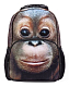 Рюкзак "Hatber HD", 43,5x30x11см, флис, 2 отделения, 2 кармана, серия "Trend Line - Orangutan"