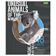 Тетрадь "Hatber Eco", 48л, А5, клетка, на скобе, серия "Animals"