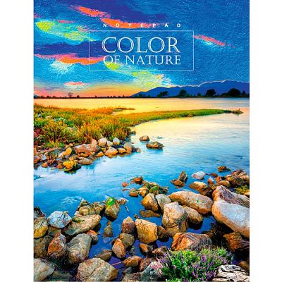 Бизнес-блокнот "BG" 80л А5 клетка "Color of nature" (ассорти), твёрдый переплёт, ламинация, лак