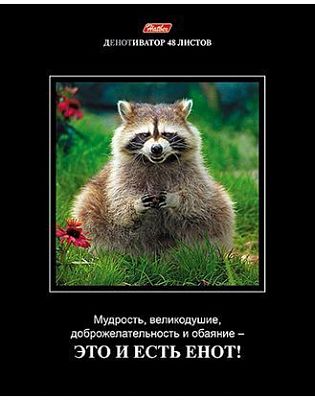 Тетрадь "Hatber", 48л, А5, клетка, на скобе, серия "Демотиваторы №11"