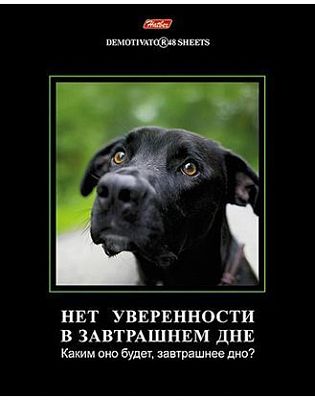 Тетрадь 48л А5ф клетка на скобе серия -Демотиваторы- Выпуск №10