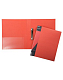 Папка пластиковая "Hatber", А4, на 2-х кольцах, 700мкм, корешок 40мм, серия "Standard - Красная"