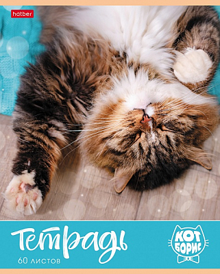 Тетрадь "Hatber", 60л, А5, клетка, на скобе, серия "Кот Борис"