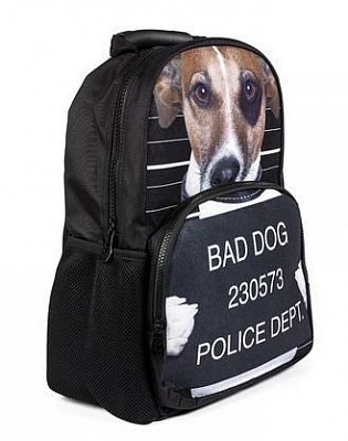 Рюкзак "Hatber HD", серия "Trend Line Bad dog"