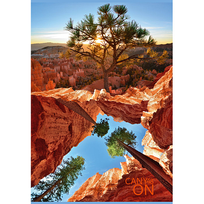 Тетрадь для записи "BG", 48л, А4, линия, на скобе, серия "Canyon"