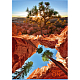 Тетрадь для записи "BG", 48л, А4, линия, на скобе, серия "Canyon"