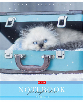 Тетрадь "Hatber", 48л, А5, клетка, на скобе, серия "Усы, лапы, хвост"