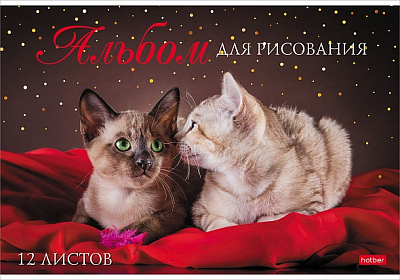Альбом для рисования "Hatber", 12л, А4, на скобе, серия "Мы любим котиков"