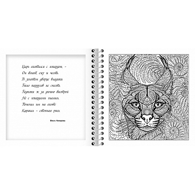 Раскраска "Hatber", 32л, А5, твёрдая обложка, на гребне, серия "Большая книга раскрасок: Релакс-раскраска - Магия кошек"