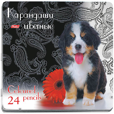 Карандаши "Hatber", 24 цвета, серия "Щенок", в металлической упаковке