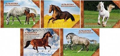 Альбом для рисования "Hatber", 40л, А4, перфорация на отрыв, на спирали, серия "Horses"