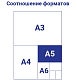Скетчбук "BG", 80л, А5, без линовки, белый блок, лак, ламинация, твёрдый переплёт, серия "Art Leaves"