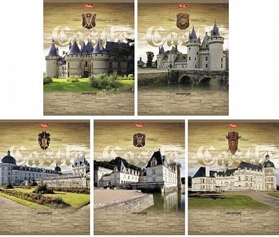 Тетрадь "Hatber", 48л, А5, клетка, металлизация, на скобе, серия "Castle"