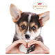 Тетрадь "Hatber", 48л, А5, клетка, на скобе, серия "Puppy Dreams"