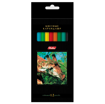 Карандаши "Hatber", 12 цветов, серия "Дикий мир", в картонной упаковке