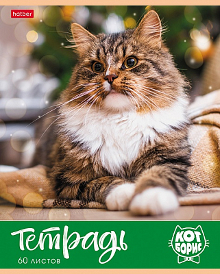 Тетрадь "Hatber", 60л, А5, клетка, на скобе, серия "Кот Борис"