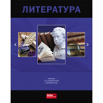 Тетрадь предметная "Hatber VK", 48л, А5, приложение HatberHelp, на скобе, серия "Классика Литература