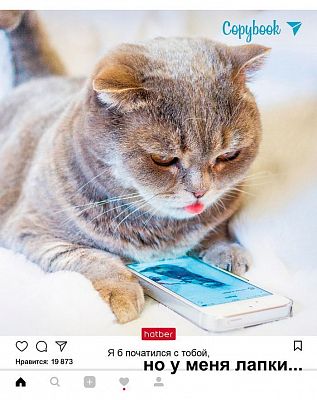 Тетрадь "Hatber", 48л, А5, клетка, на скобе, серия "Но у меня лапки №1"