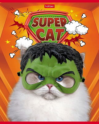 Тетрадь "Hatber", 48л, А5, клетка,на скобе, серия "Supercat"