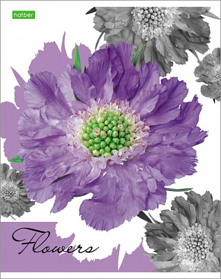 Тетрадь "Hatber Eco", 96л, А5, клетка, на скобе, серия "Flower"