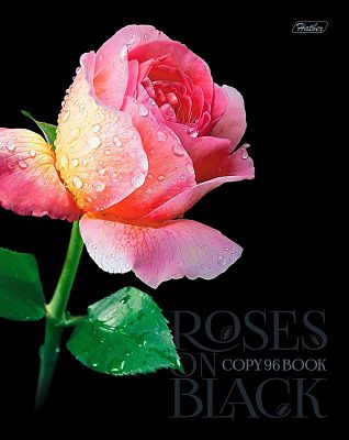 Тетрадь "Hatber", 96л, А5, клетка, 3D лак и фольга, ламинация, на скобе, серия "Roses on Black"